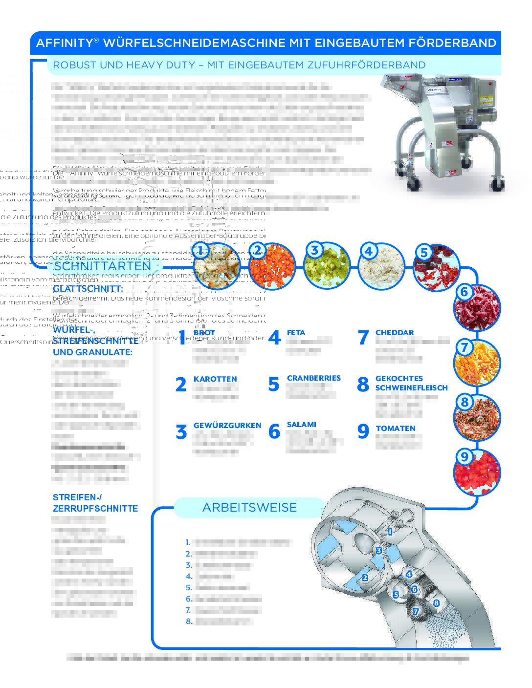 fact sheet affinity conveyor german pdf