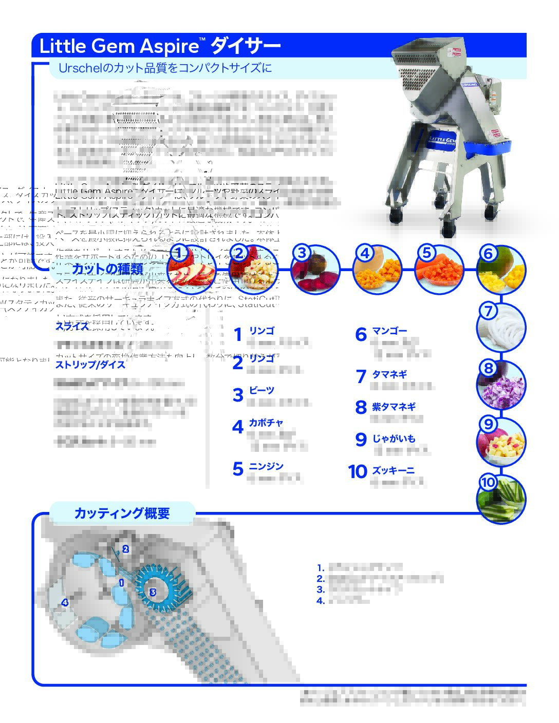 fact sheet little gem aspire dicer japanese pdf