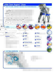 fact sheet little gem aspire english pdf